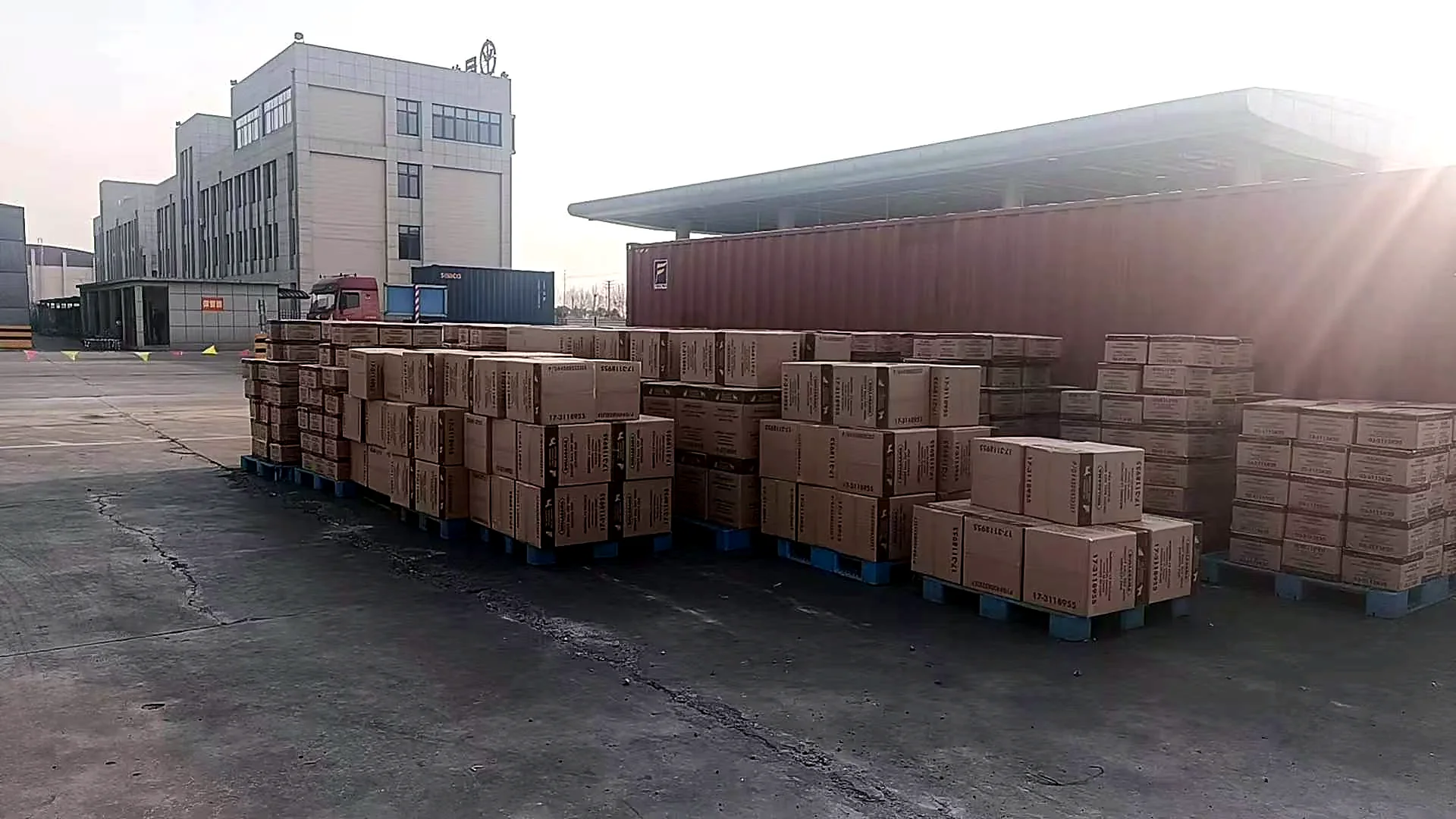 Quality control and pet product export packing